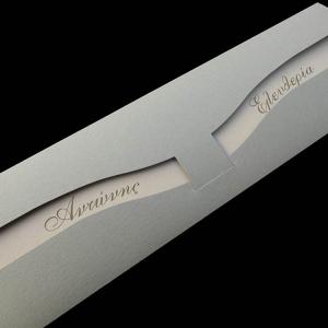 Προσκλητήρια γάμου -Γ1345 - <p>Ιδιαίτερο μακρόστενο προσκλητήριο σε γήινα χρώματα.</p>...